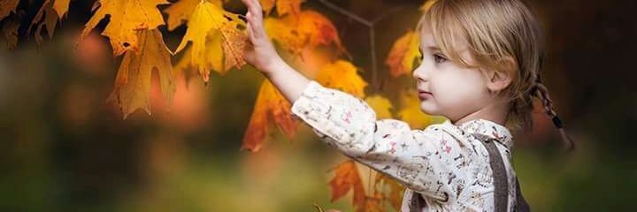 BatoolRoses's profile banner image