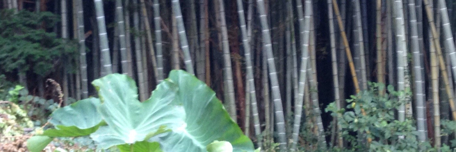 さいぞお banner