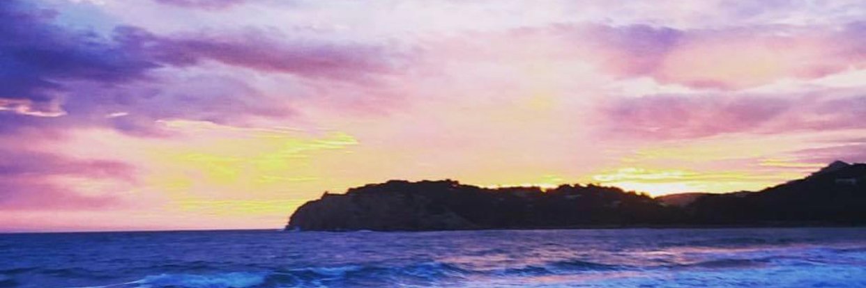 Alexandra Annable banner