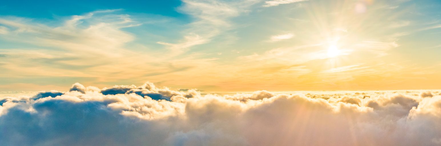 上原麦ヾ(+麦+)ﾉ゛ banner