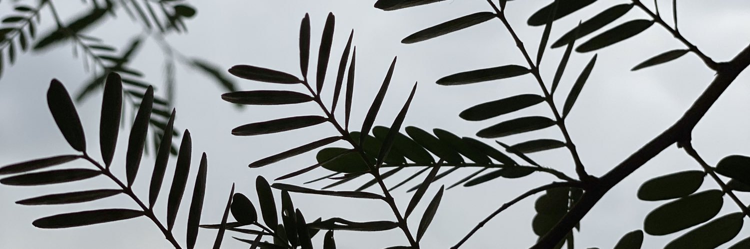 coo9ool88's profile banner image