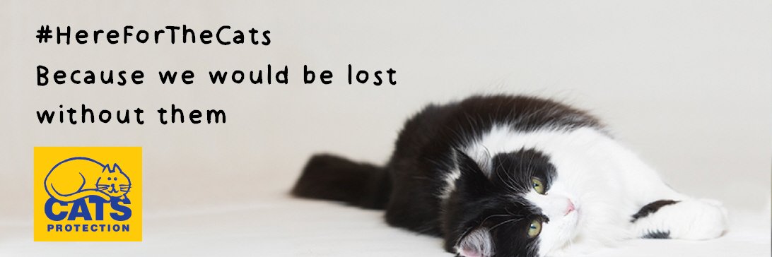 farnhamcats's profile banner image