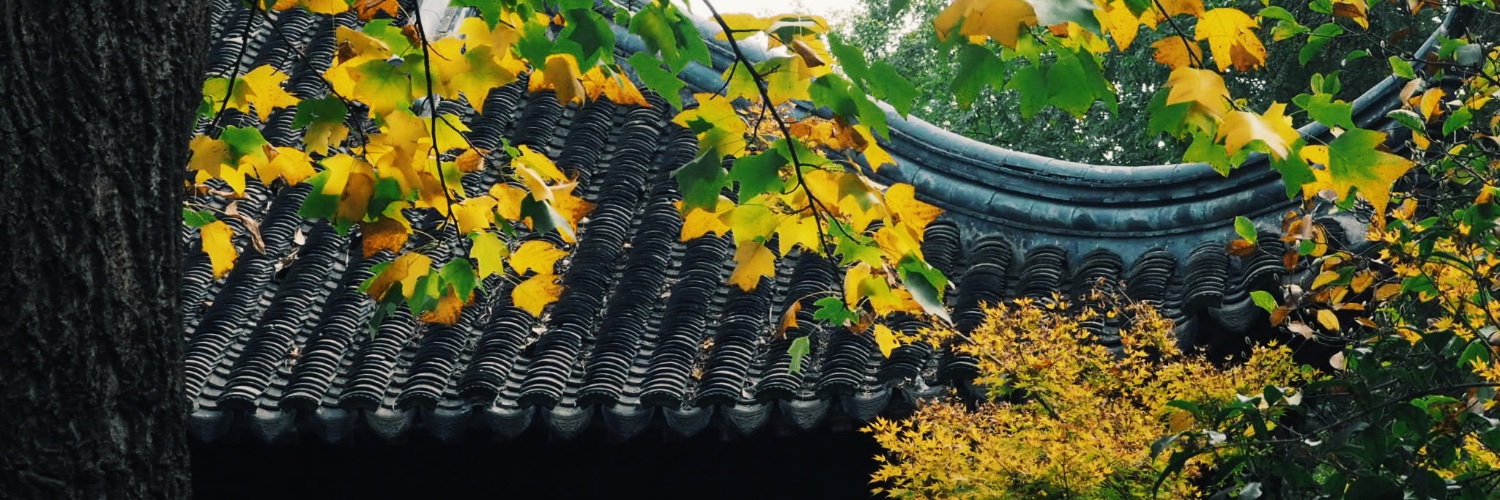 Wenhao Zhu's banner
