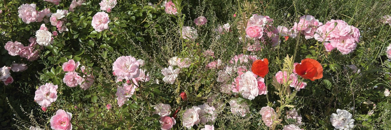 Ludwik Rakowski banner