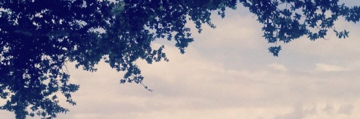 Ana Martin banner