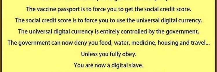 Simon Schothorst banner