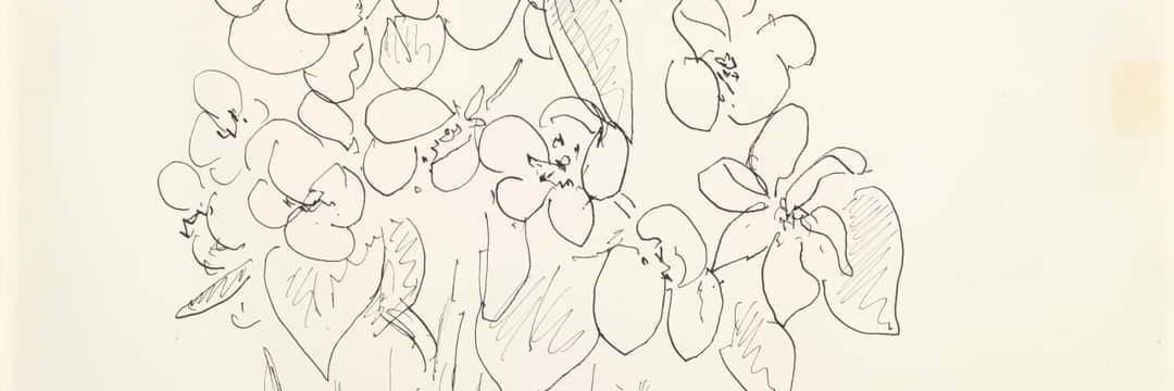 cindelfee's profile banner image