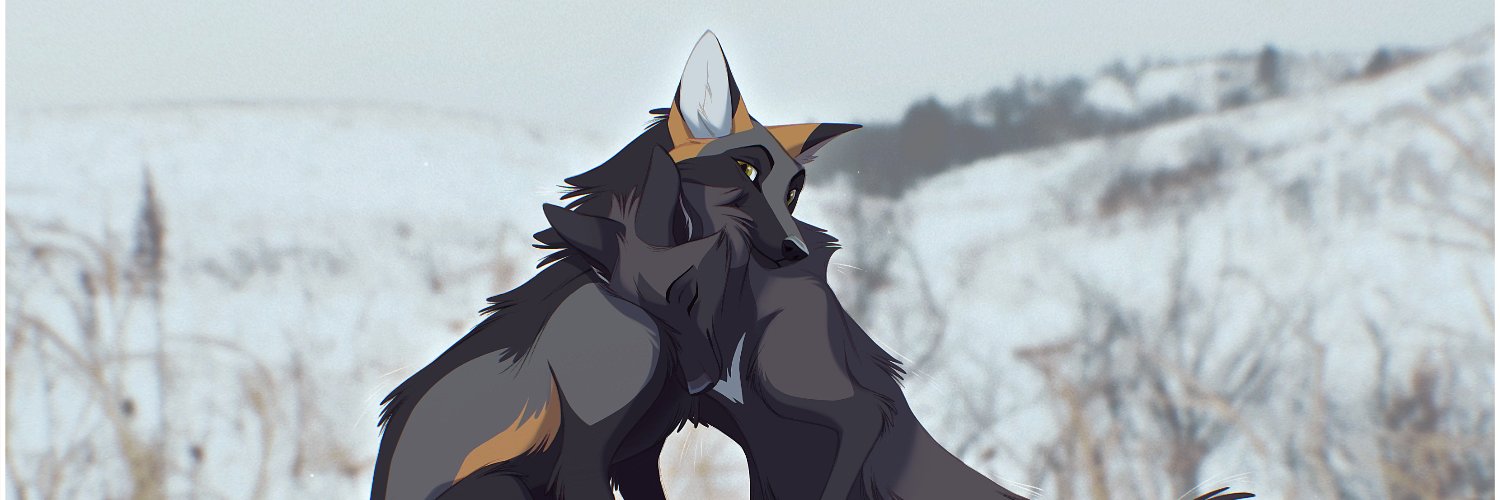 Neori • NRW banner