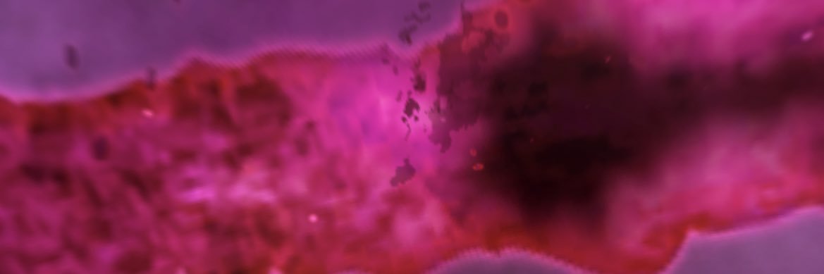 Zinedine 22 banner