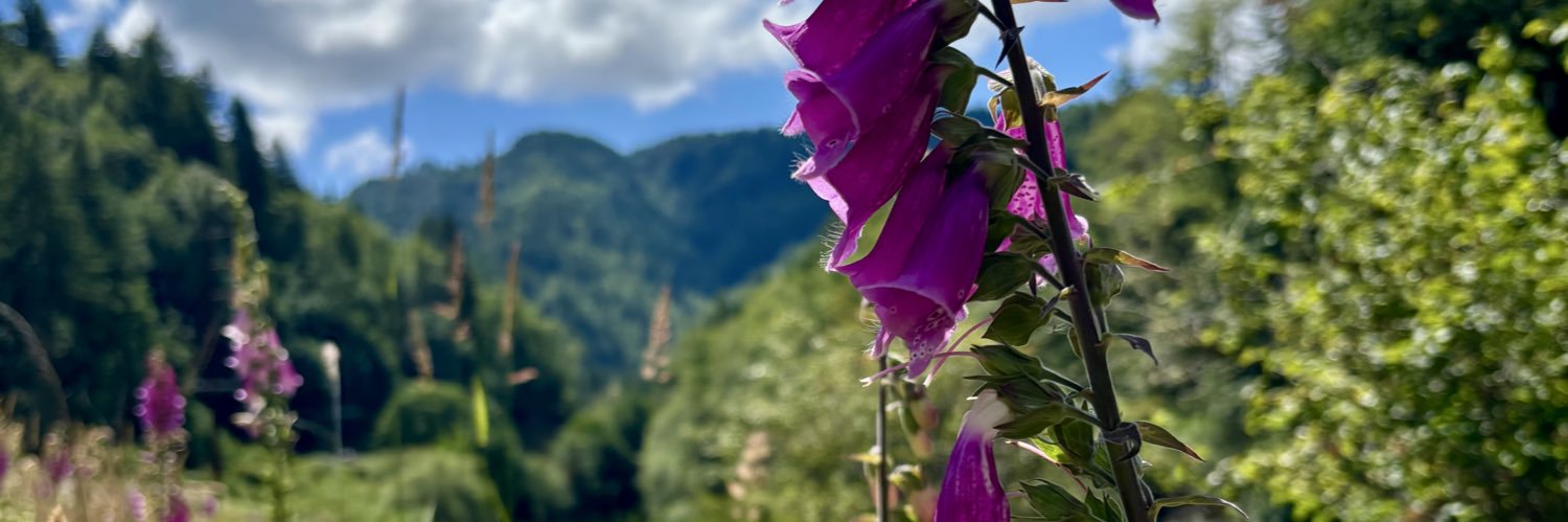 chroniccosmo's profile banner image