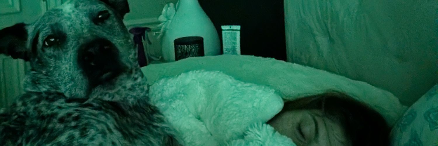 DanielASaputa's profile banner image