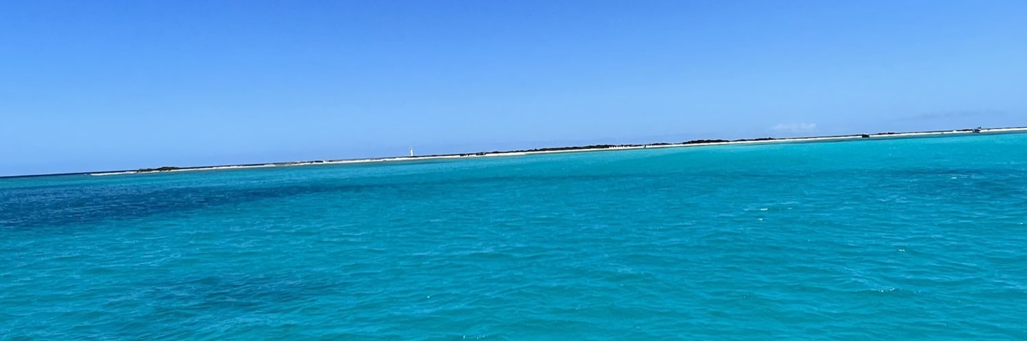 GeneGoncalves's profile banner image