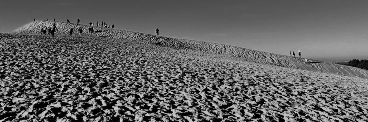 Adrien Lepage banner