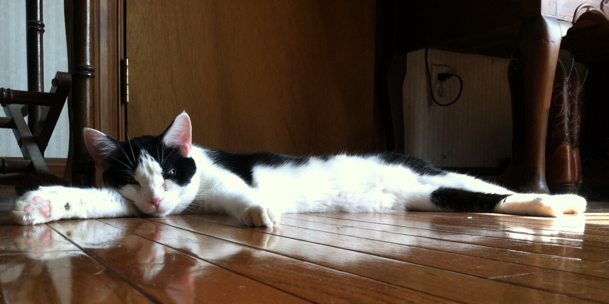 getgrassstained's profile banner image