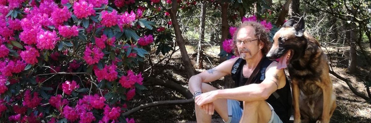 kees_dijkmeer's profile banner image
