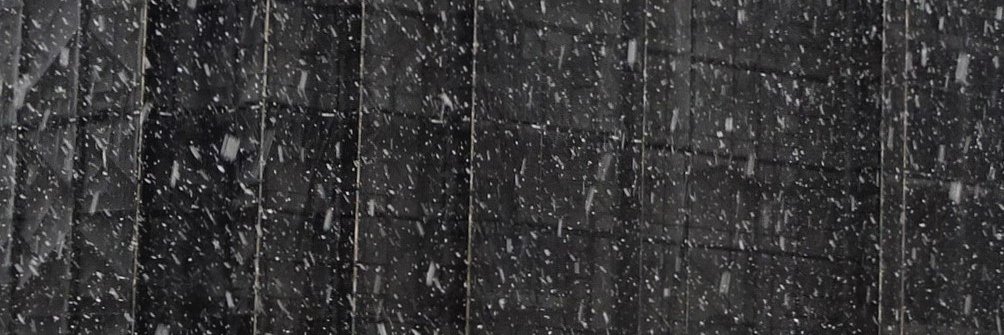 midorikoichan's profile banner image