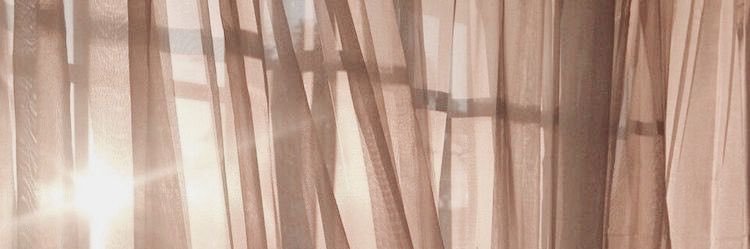 🍯 꿀백현 [ℓ] hiatus banner
