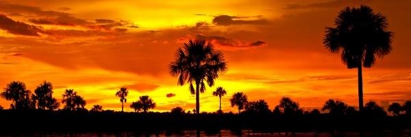 daviviro's profile banner image