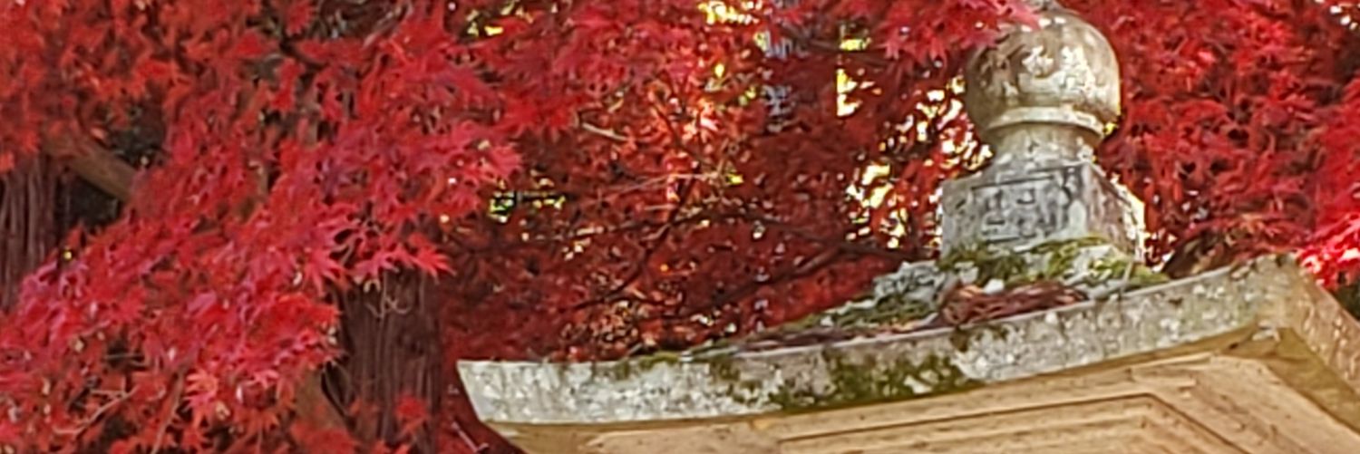 header image