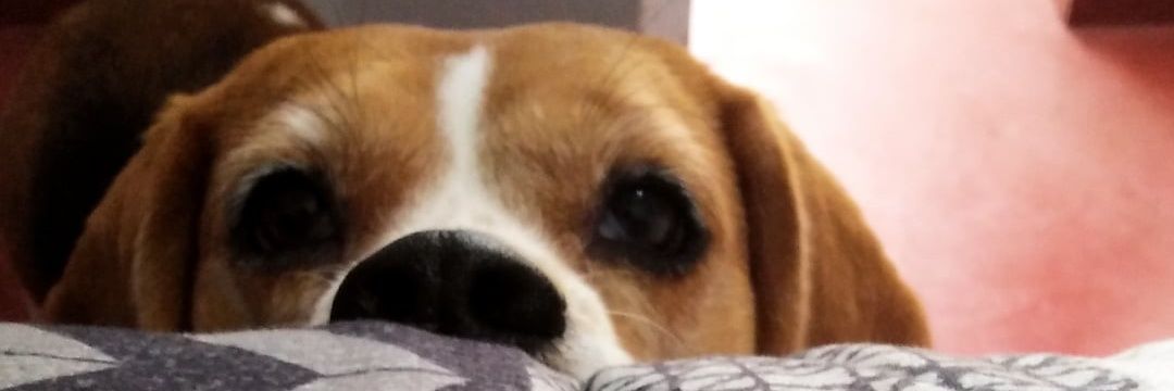 antocabreraaaa's profile banner image