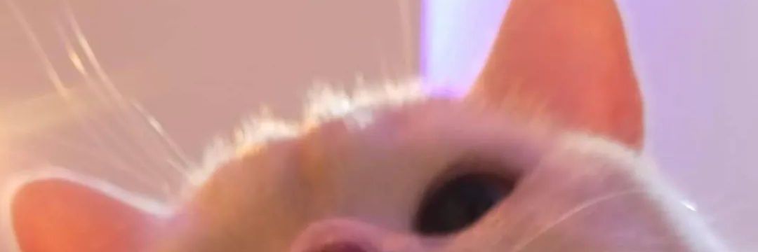 🍓🍓 banner