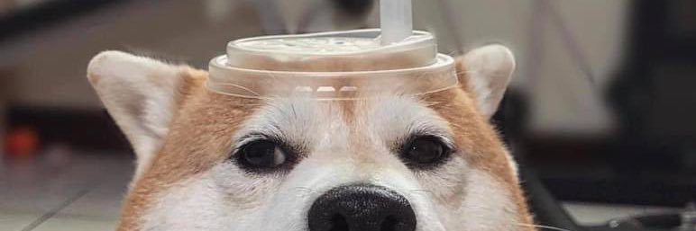 CHON=โสด=หาแฟน banner