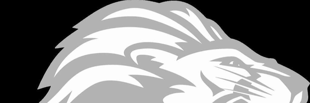 WLauritzen's profile banner image