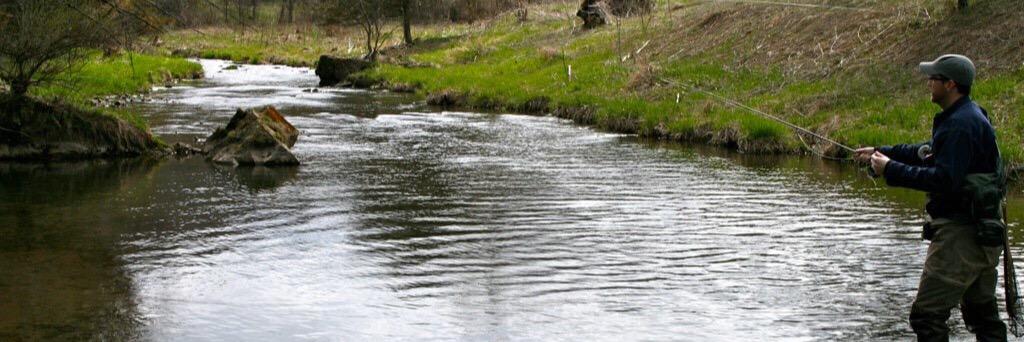 Curt Rees, PhD banner