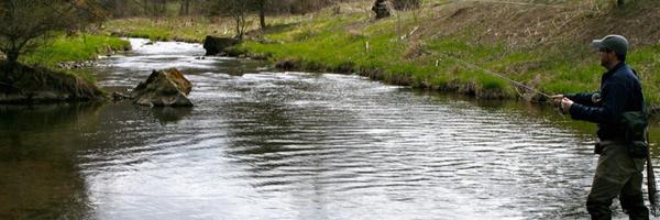 CurtRees Profile Banner