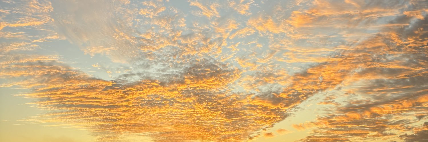 𝘑𝘰𝘩𝘢𝘯 𝘚𝘢𝘭𝘨𝘢𝘥𝘰 banner