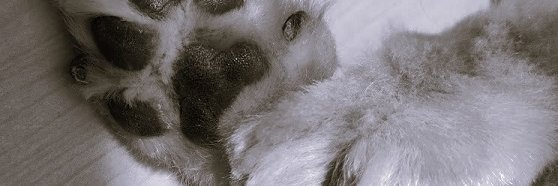 atykty's profile banner image