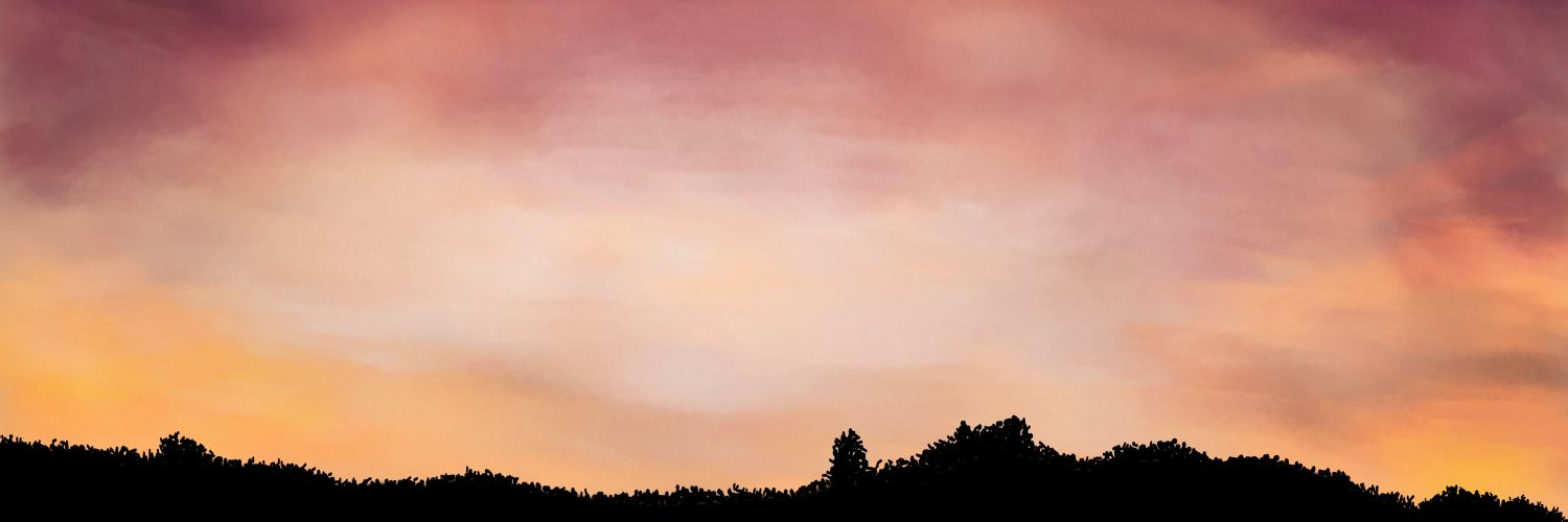 ShannenMorrigan's profile banner image