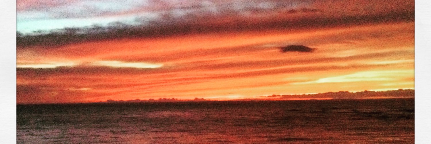 SarahLoakes's profile banner image