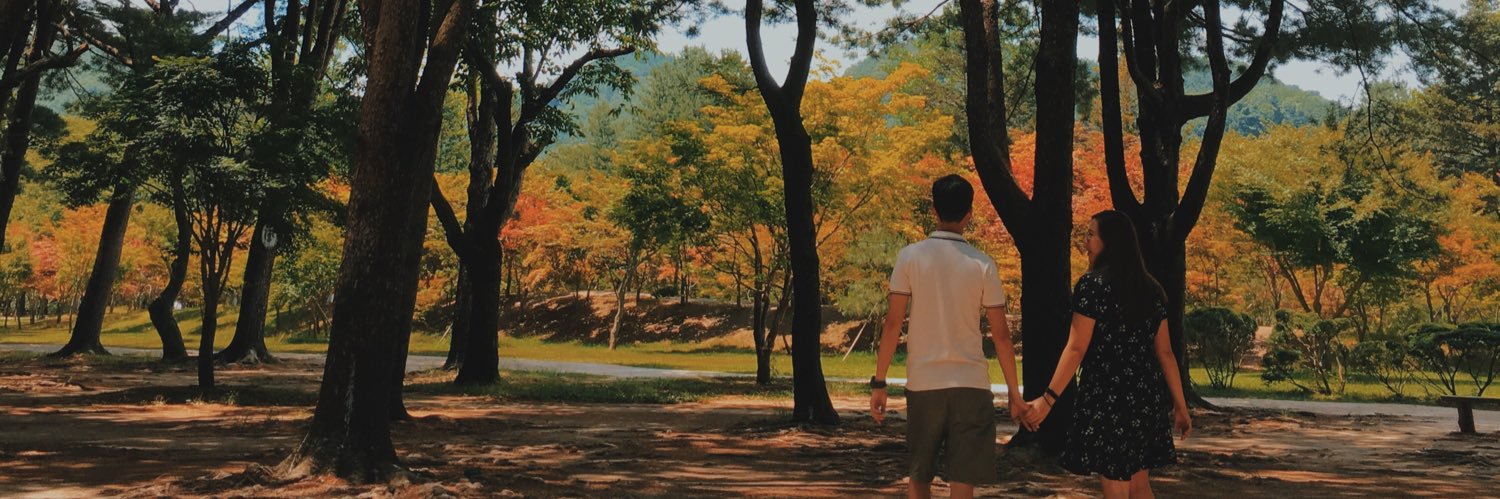 MCarmelli's profile banner image