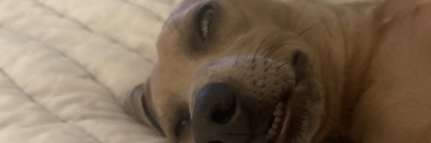 Nickbiiz's profile banner image