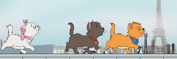 24Mtnp's profile banner image