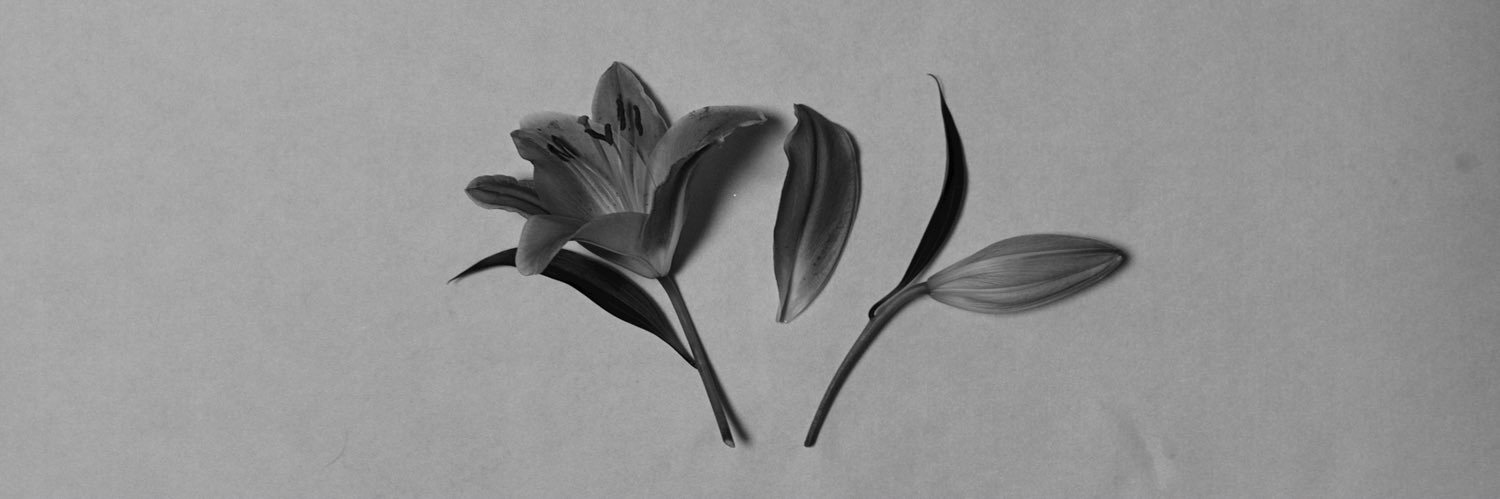 studioslowdown's profile banner image