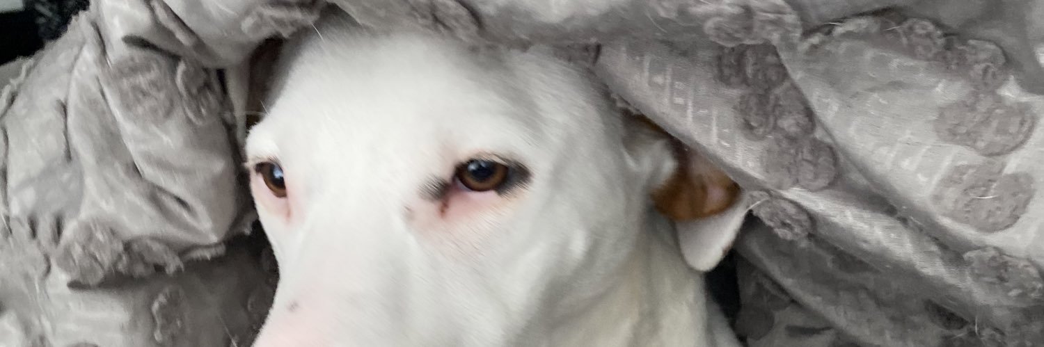 Katfisherkeller's profile banner image