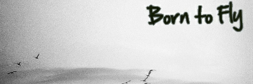 SarahRininger's profile banner image