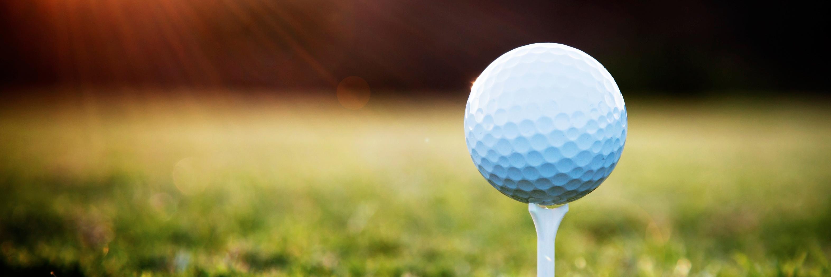 The Golf Auction banner