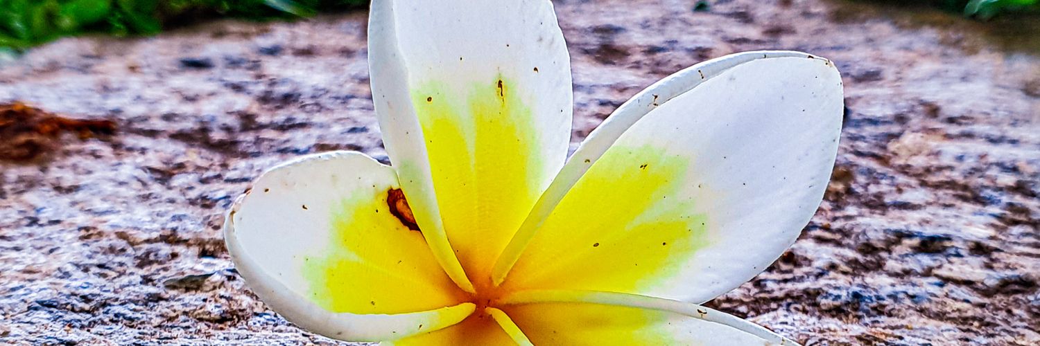 shivasagarvl's profile banner image