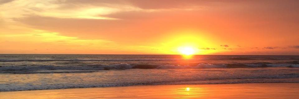 Vanny_Nendra's profile banner image