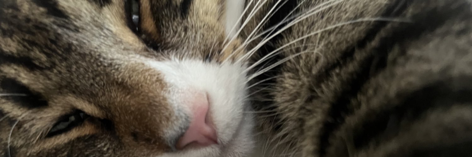 AbbeMurray1's profile banner image