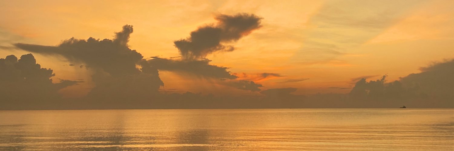 fazrollazim's profile banner image