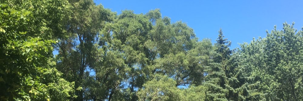 lisakort5's profile banner image