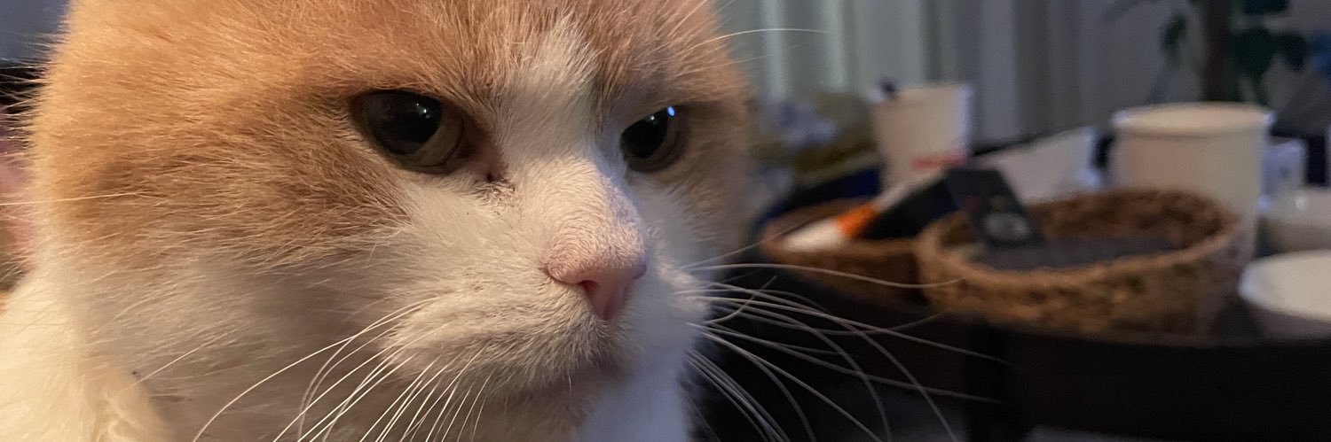 notandi's profile banner image