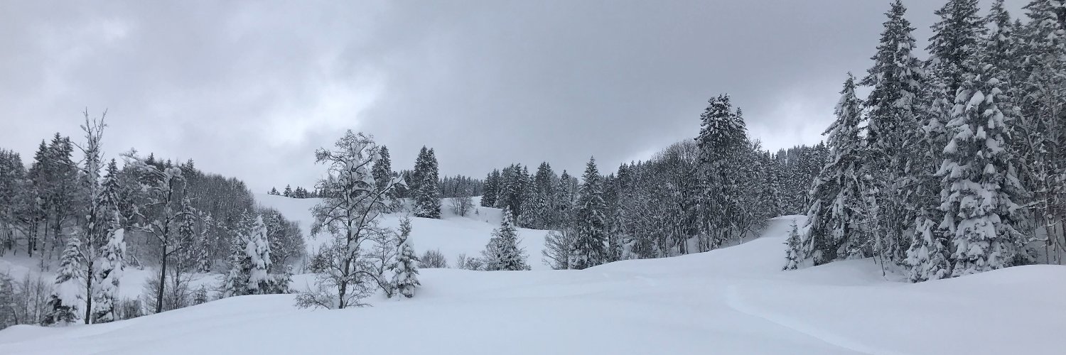 Nikolas Göbel banner