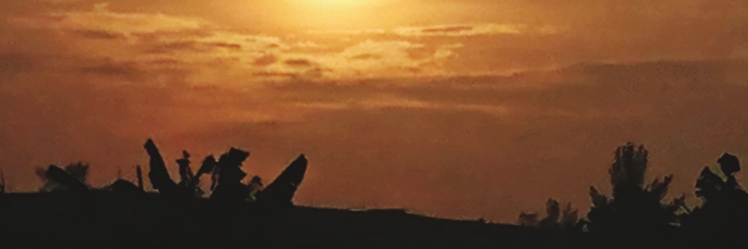 x_herry's profile banner image