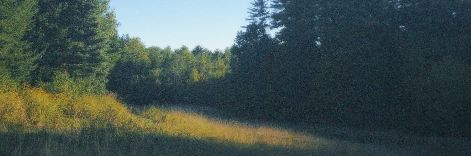 se3ep8's profile banner image
