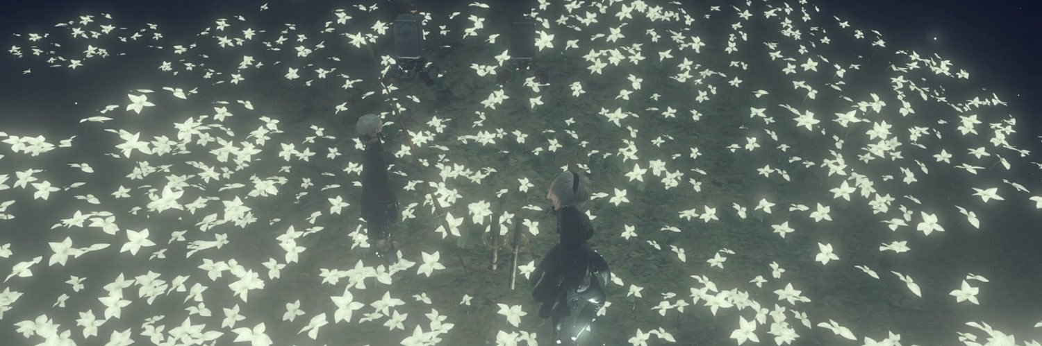 crisosopher's profile banner image